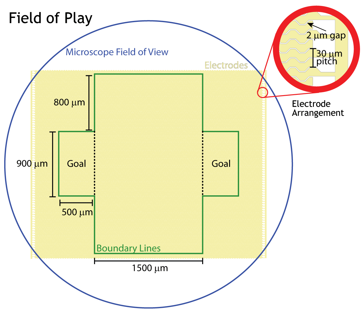 Nanosoccer Field of Play