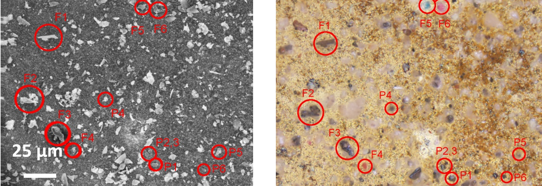 Images collected of airborne particles