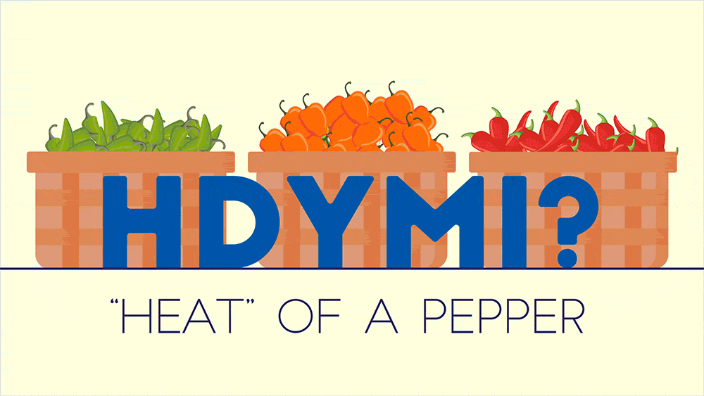 Animated GIF showing peppers in three baskets with a scale indicating their "heat"