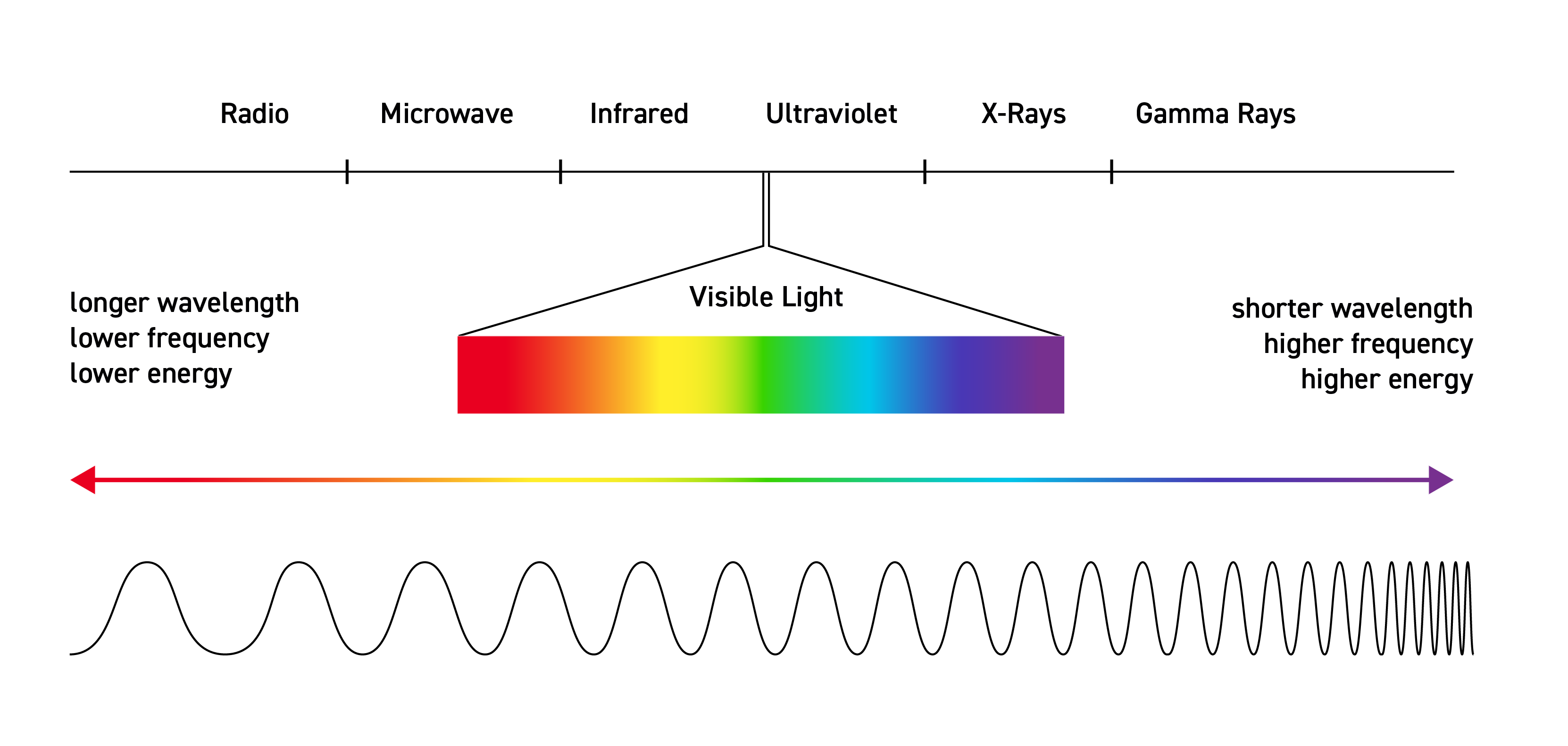 Diagram shows the electromagnetic spectrum from radio (lower frequency) to gamma rays (higher frequency) with the visible light portion highlighted and a wavy line below denoting longer to shorter wavelengths. 