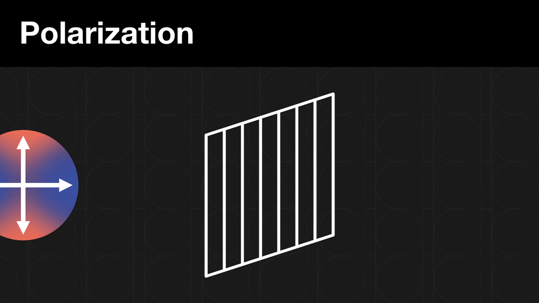 Polarization animation shows circular photons moving through a vertically polarized grid and changing from dual horizontal/vertical orientation to either horizontal or vertical.