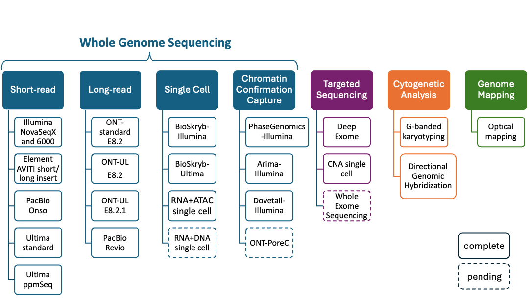 This figure shows the genome-scale measurement technologies being used to characterize the HG008 tumor and normal samples.  Measurements include short and long read sequencing, HiC, single cell sequencing, targeted sequencing, cytogenetic analyses and optical genome mapping.