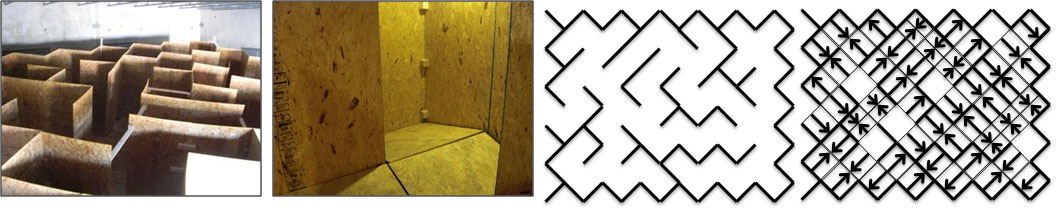 random_maze_search