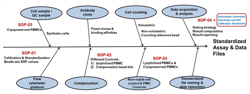 Fishbone-like diagram showing variability contributions, from left to right, first for cell and control samples and instrument platforms, second for each antibody clone and panel compensation samples, third for cell counting approach and dead cell and fluorescence minus one controls, and, finally, fourth data acquisition and analysis and standardized file naming and storage. These contributions point to the end result of a standardized assay and data file collection.