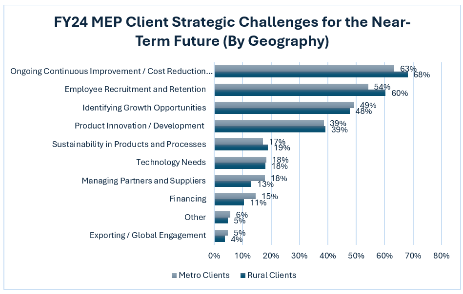 FY24 MEP client strategic challenges (by geography)