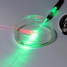 empty petri dish