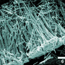 NIST researchers have developed a new technique to form nanotubes for use in gas sensing applications. 