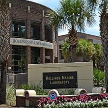 Hollings Marine Laboratory
