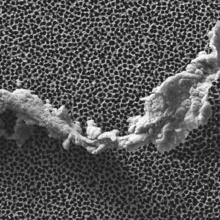 A small particle against a porous background.
