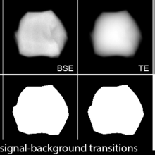 simulated 3d SEM images of a 60nm gold nanoparticle