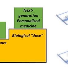 photonic dosimetry images