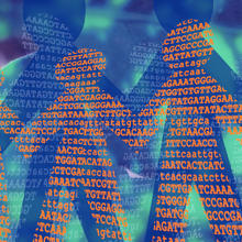 A colorful illustration of showing human-like figures with the letters A, G, T, and C.  