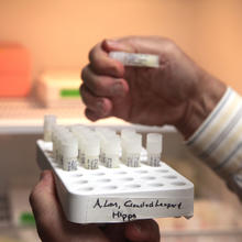 Close up of vials of lion's milk