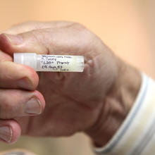 close up of vial of lion's milk