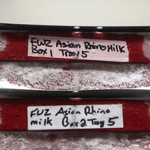 close up of containers filled with rhino milk