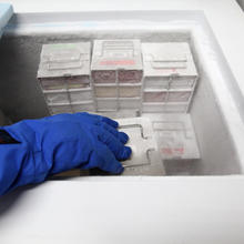 A hand reaches into a freezer filled with milk