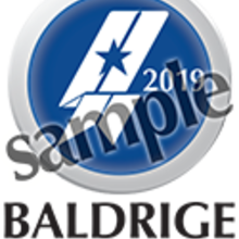 2019 Baldrige Examiner Badge Sample