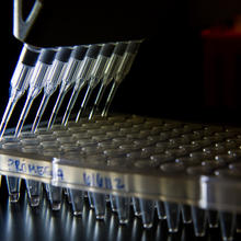 Pipettes and vials