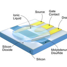 Cdk5 sensor Image 1