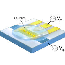 Cdk5 sensor Image 2