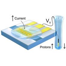 Cdk5 image 4