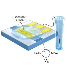 Cdk5 image 5