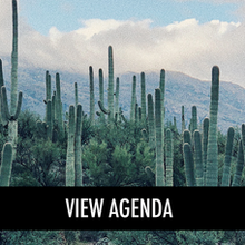 NICE 2019 Conference_Cacti
