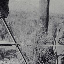 surveying party