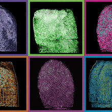 Grid showing six fingerprints in different false colors.