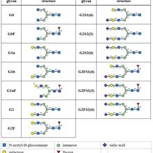 A table containing the 13 N-linked glycan structures to be included in NIST SRM 3655