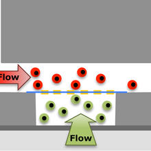 Microfluidic tissue/organ on a chip system
