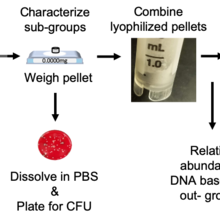 DARPA IV&V Workflow