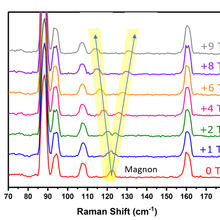 raman spectra graph