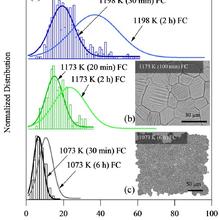 Grain Size