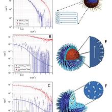 Graphics and pictures of magnetic scatterings
