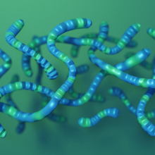 PCDTPT, appearing as a jumble of blue and green worm-like structures