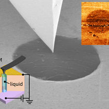micrographs