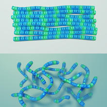 PCDTPT strands
