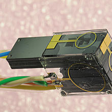 Fiber magnetometer