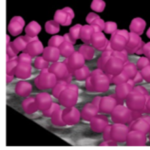 Silica shell colloidal particles with cube-like shape