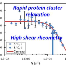 High shear rate rheometry identifies relaxation rates of dynamic self-associating protein clusters