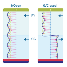 Two vertical strings of electrons form magnons. Spin waves passing through the left magnon string are larger than those passing through the right, indicating the difference between an on and off state.  