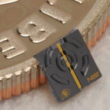 Tiny black chip leans against the edge of a dime.