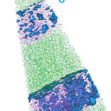 Atom Probe reconstruction graphic