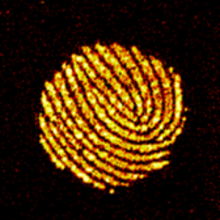Fingerprint image