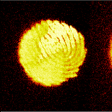 Colorized TOF-SIMS maps of fingerprints
