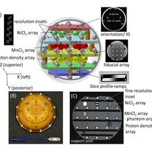 MRI system phantom