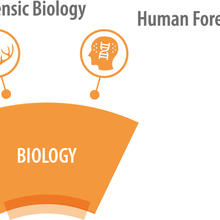 OSAC Biology SAC and subcommittees