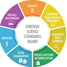 OSAC's seven scientific area committees