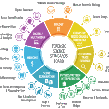 OSAC 2.0 organizational structure
